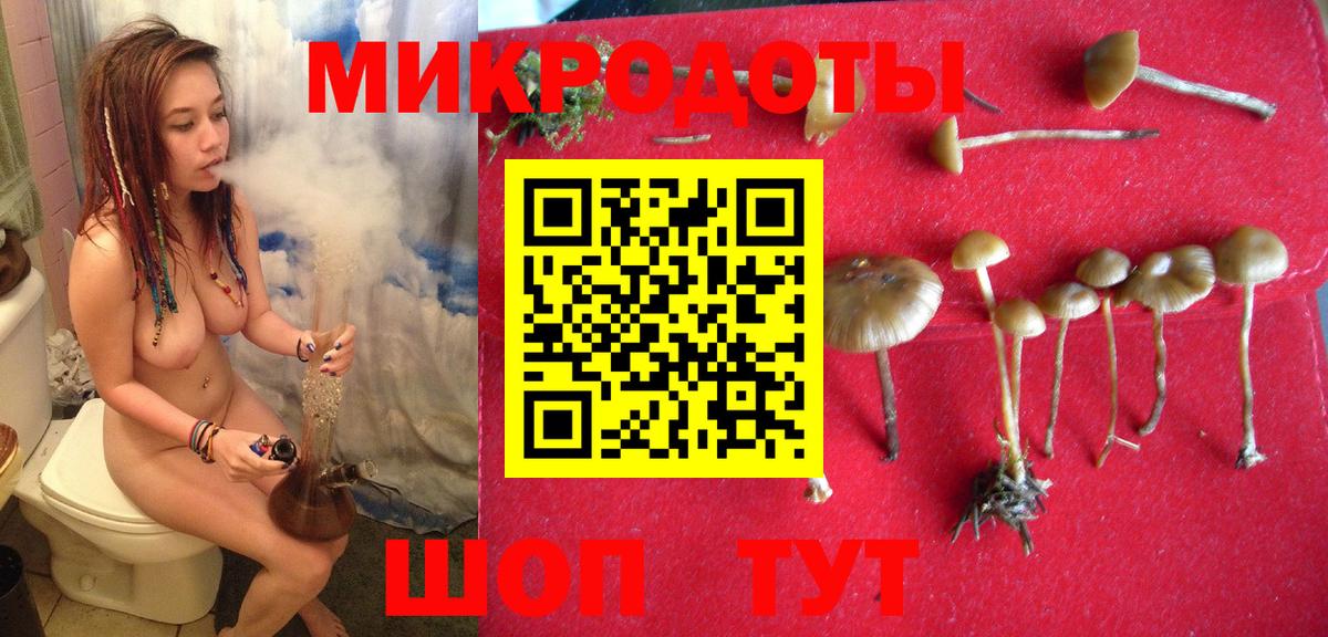 Псилоцибиновые грибы Magic Shrooms  Вход с VPN  Ступино  Галлюциногенные грибы Psilocybine cubensis 